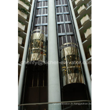 Ascenseur panoramique de cabine extérieure en verre de Srh